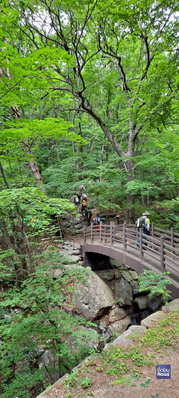 청옥산. ⓒ영주국유림관리소