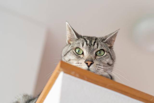 게티이미지뱅크