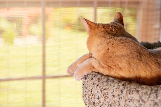 게티이미지뱅크