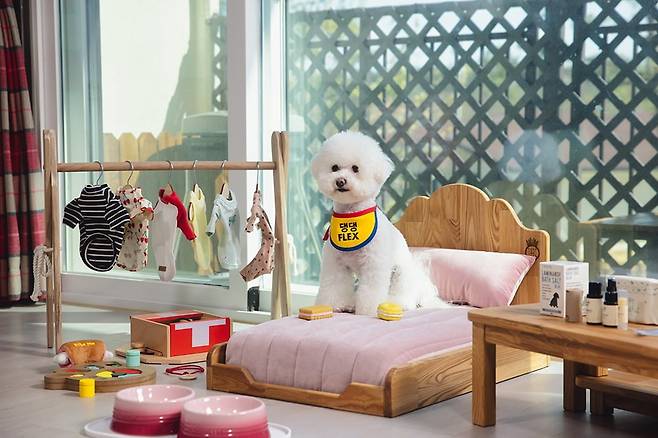 [이랜드파크] 켄싱턴리조트 설악밸리_펫 객실