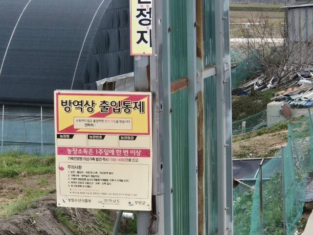 지난 18일 전라남도 무안군 일로읍 구제역이 발생한 농장 인근 축사 들머리에 출입통제 팻말이 걸려 있다. 정대하 기자