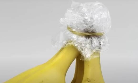 바나나 줄기를 랩으로 감싸두면 숙성 속도를 늦춰 더 오래 보관할 수 있다. 사진은 줄기에 랩을 싼 바나나. [사진=유튜브 @지식한상]