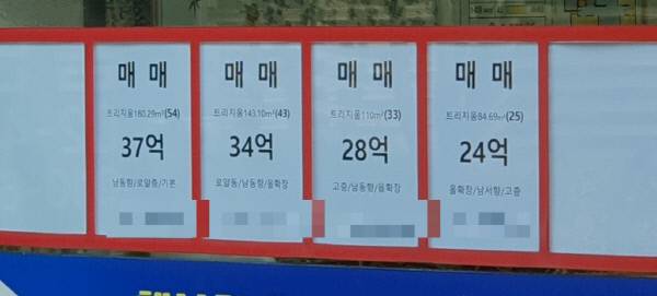 20일 서울 송파구 '트리지움' 단지 내 상가 공인중개사무소에 걸린 안내판/사진=홍재영 기자
