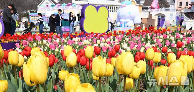 [용인=뉴시스] 김종택 기자 = 에버랜드 튤립축제가 시작된 21일 경기도 용인시 에버랜드 포시즌스 가든을 찾은 시민들이 활짝 핀 튤립 꽃길을 거닐며 봄기운을 만끽하고 있다. 2025.03.21. jtk@newsis.com