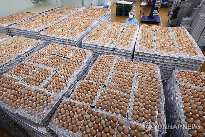 "'K-달걀' 미국 식탁에 더 많이 오른다" (아산=연합뉴스) 서대연 기자 = 조류독감 유행으로 심각한 달걀값 폭등을 겪고 있는 미국에 국내 최초로 달걀을 수출한 충청남도 아산시 계림농장에 지난 17일 출하를 앞둔 달걀이 쌓여있다. 2025.3.17. dwise@yna.co.kr