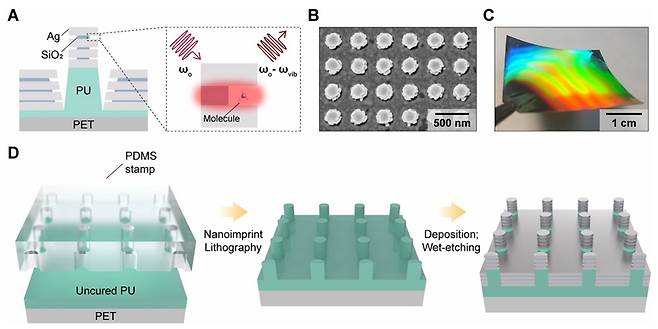 고성능 3D 표면증강라만분광 센서 개발 장면 [부경대 제공]