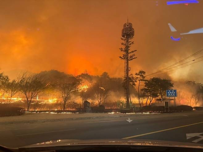 오늘 일어난 산불들 현재까지 밝혀진 원인 정리