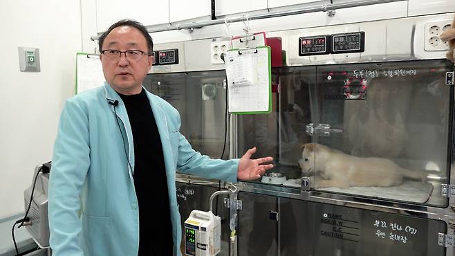 타이탄의 건강상태를 설명하는 정인성 로얄동물메디컬센터 대표원장. 정 원장은 지난해 비키도 치료했다. 최민석 기자