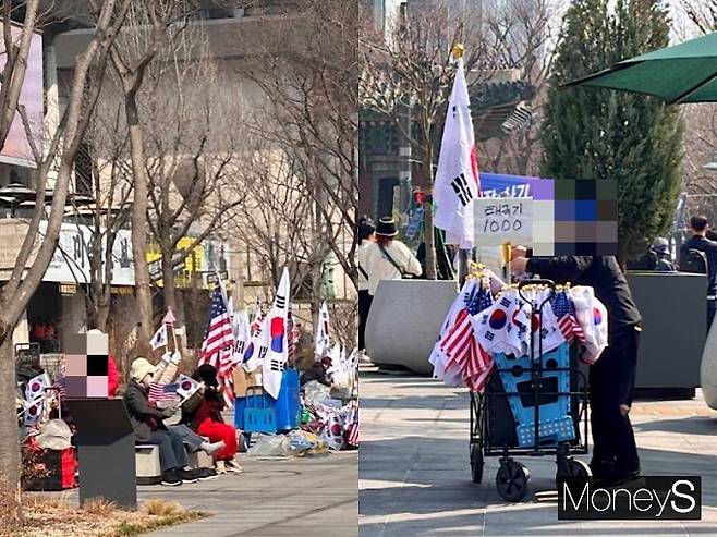 태극기와 성조기를 들고 세종대로 집회 현장 옆에 자리잡은 시민들과 그 옆에서 태극기를 판매하고 있는 상인의 모습. /사진=박세희 기자