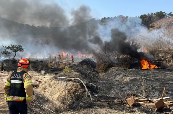 불법소각으로 인한 화재 현장.[증평소방서 제공]