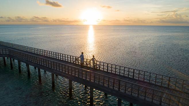 자전거 무료 대여로 두 섬을 자유롭게 이동할 수 있다. 사진제공|팜투어
