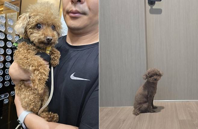 아빠 품에 안겨 있길 좋아하고, 아빠가 가는 어디든 따라다니는 뚜기 (한지혜 씨 제공) ⓒ 뉴스1