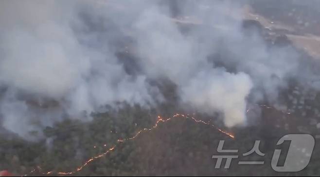 22일 울산 울주 온산읍 운화리 임야에서 산불이 발생했다. 소방당국은 현재 인력 160여명을 투입해 70%가량 진화한 상태다.(울산소방본부 제공, 재판매 및 DB금지) 2025.3.22/뉴스1 ⓒ News1