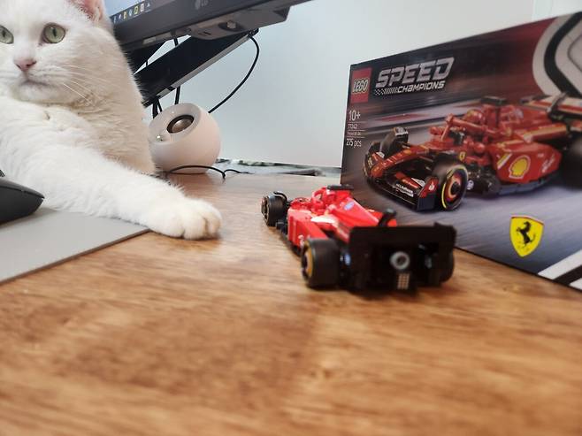 20250323_004607.jpg 하얀색과 빨간색의 만남