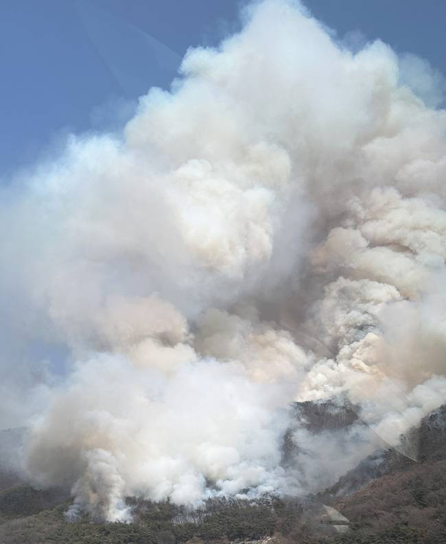 ▲ 22일 화재가 발생한 경남 김해시 한림면 안곡리 야산에서 연기가 피어오르고 있다. 연합뉴스