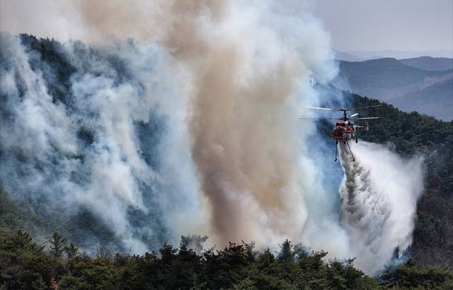 ▲ 경북 의성군 대형 산불 발생 이틀째인 23일 의성군 산불 발화지점 인근 야산에서 산림청 헬기가 산불 진화를 하고 있다. 연합뉴스