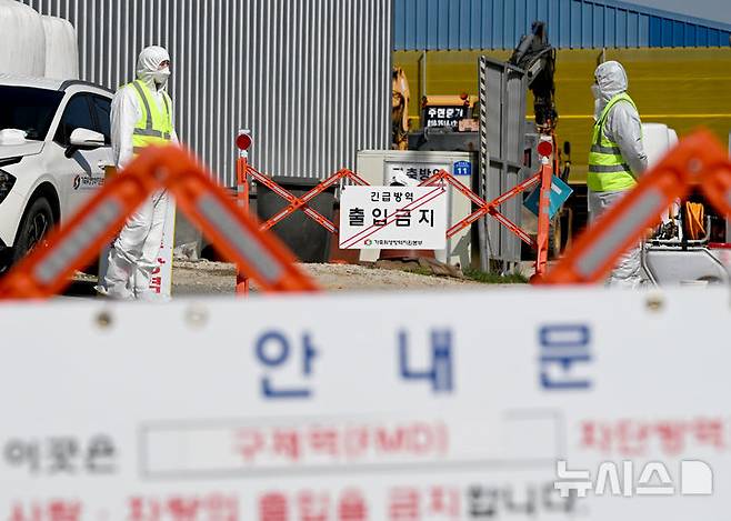 [영암=뉴시스] 김혜인 기자 = 전남에서 첫 구제역이 발생한 14일 오전 영암군 도포면의 한 구제역 발생 소 농장에서 방역 당국이 출입을 통제하고 있다. 2025.03.14. hyein0342@newsis.com