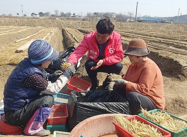 22일 인천 강화군 송해면의 한 인삼밭에서 무소속 박을양 강화군의원(가선거구) 후보가 지지를 호소하는 모습. 박을양 후보 선거캠프 제공