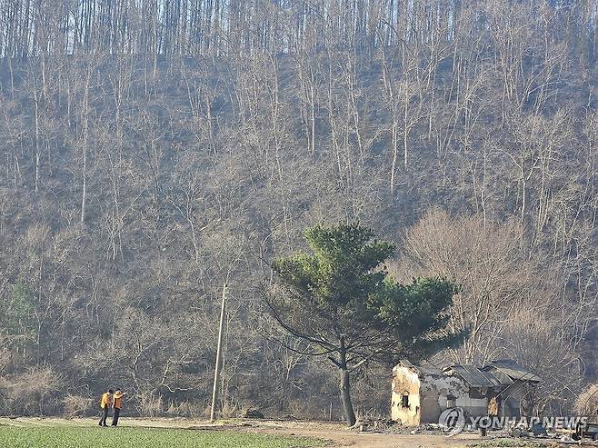 산불에 타버린 가옥 (의성=연합뉴스) 김선형 기자 = 23일 오전 경북 의성군 의성읍 철파리에서 소방당국 관계자들이 불에 탄 가옥을 확인하고 있다. 2025.3.23 sunhyung@yna.co.kr