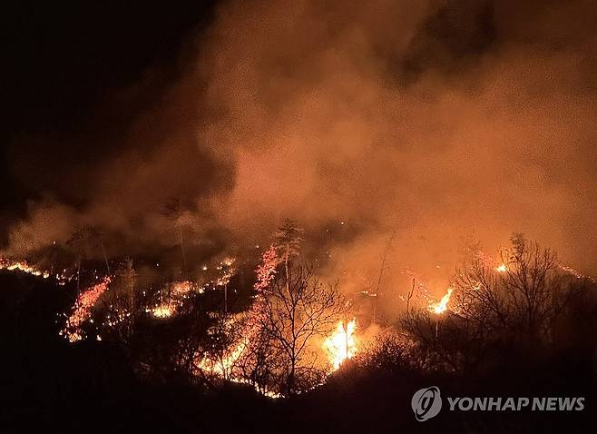 산청 산불현장 [연합뉴스 자료사진]