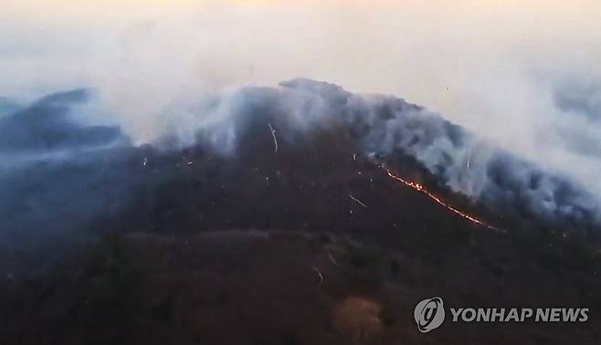 울산 울주군 온양읍 산불 현장 (울산=연합뉴스) 울산 울주군 온양읍 운화리 산불 발생 이틀째인 23일 현장 모습. 산림 당국은 산불 대응 3단계를 발령하고 진화 중이다. 2025.3.23 [울산소방본부 제공. 재판매 및 DB 금지] canto@yna.co.kr