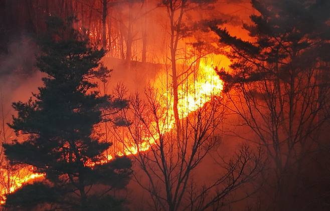 경남 산청군에서 발생한 대형 산불이 4일째로 접어든 24일 오전 산청군 단성면 산기슭에 산불이 이어지고 있다. /뉴시스