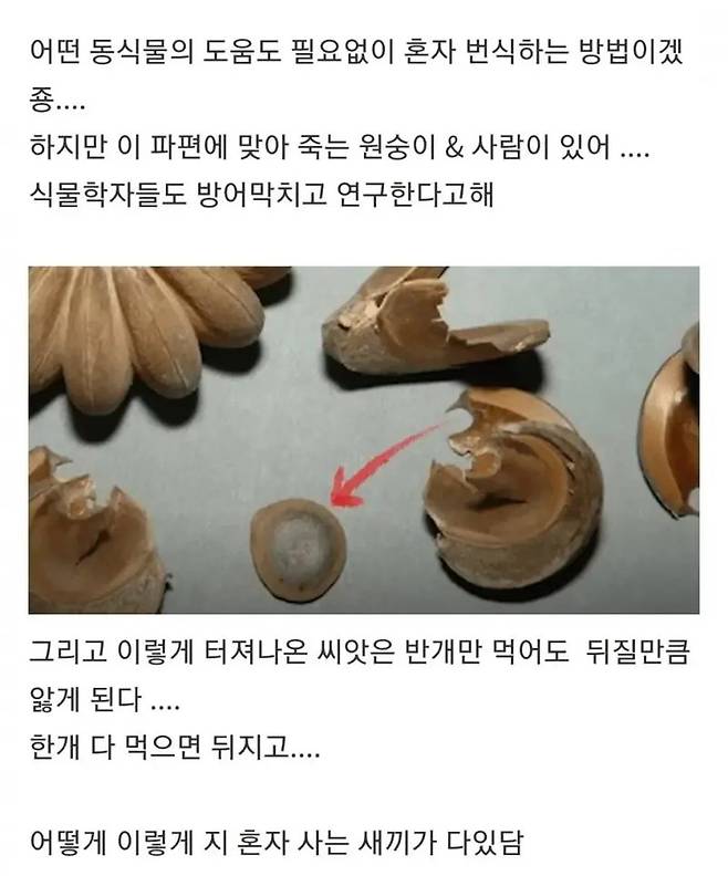 IMG_1196.webp.ren.jpg 존재 자체가 “악의” 그 자체라는 나무 레전드 ㅎㄷㄷㄷㄷ