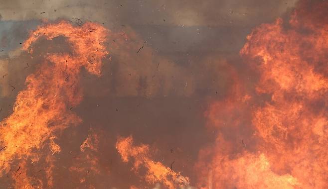 경북 의성군 대형 산불 발생 사흘째인 24일 산불 현장에 인접한 의성군 옥산면 입암리 한 마을 강변에 불씨가 옮겨붙어 불이 나고 있다. 의성/연합뉴스