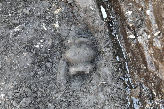 김해 봉황동 유적 출토 항아리 모양 목제품 출토 모습. 사진 국립가야문화유산연구소