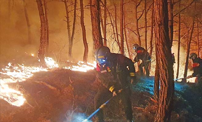 산불과의 사투   지난 21일 산림청 항공본부 공중진화대원들이 경남 산청군 시천면 야산에서 발생한 산불을 진압하기 위해 밤샘 작업을 하고 있다. 발생 사흘째인 23일 오후 9시 기준 진화율은 71%로, 소방당국은 대응 최고 단계인 3단계를 발령했다.  산림청 제공