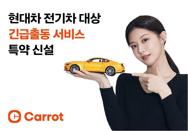 [캐롯손해보험 제공]