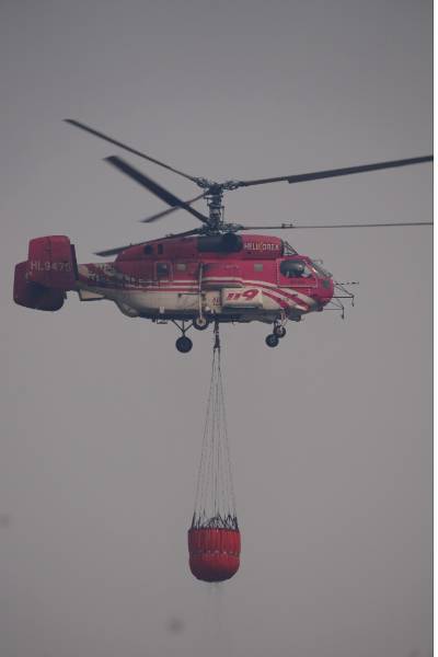 경북소방본부 제공