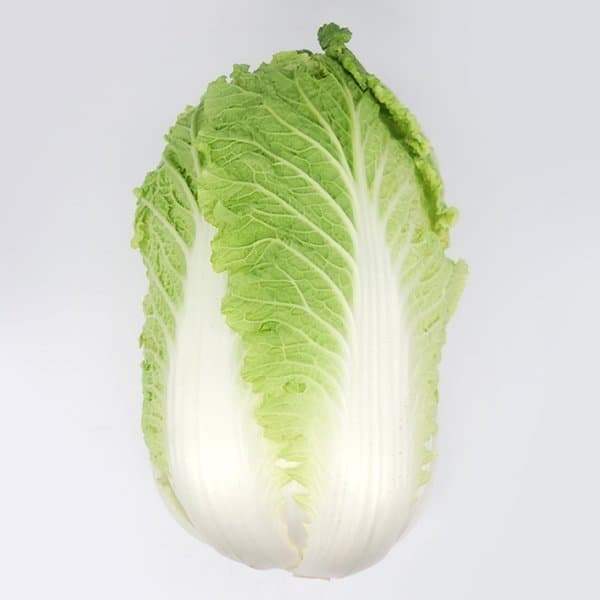 3eb4de21e9d73ab360b8dab04785736f913762bc3561bab552706cc1ce683a4070d5eb3ca2a3983b42d9fb024bfd424e014ce4aac21c0d568029