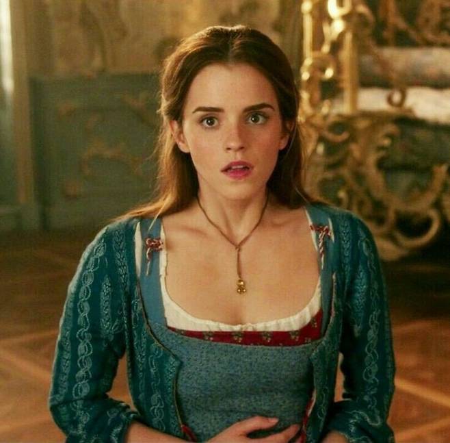 b1e283cfa3c9071e3ff6d44e6f1de8eb.jpg 흑설탕공주와 달리 미녀와 야수가 대박났던 이유