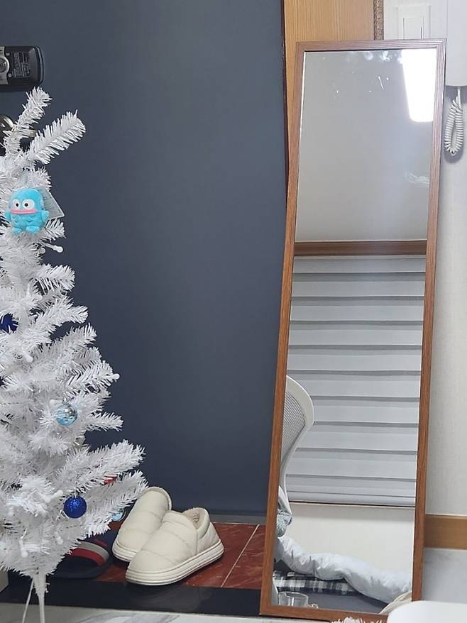 다이소 전신 거울 가격