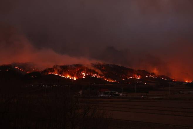 25일 경북 안동시 남선면 마을 인근 야산이 불에 타고 있다. 연합뉴스