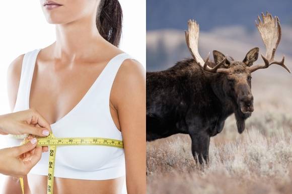 자료 이미지. 123rf