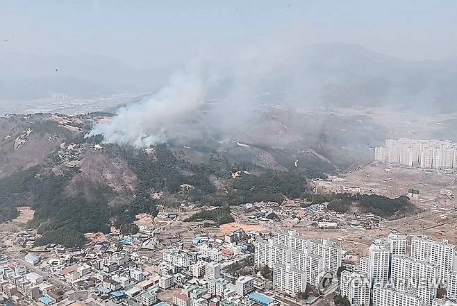 울산 울주군 언양읍 산불 (울산=연합뉴스) 25일 울산시 울주군 언양읍 한 야산에서 불이 나 연기가 피어오르고 있다. 2025.3.25 [울산소방본부 제공. 재판매 및 DB 금지] yongtae@yna.co.kr