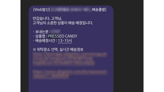 가품 영양제의 경우 '압축 캔디' 이름으로 수입돼 세관의 눈을 속이고 있다.
