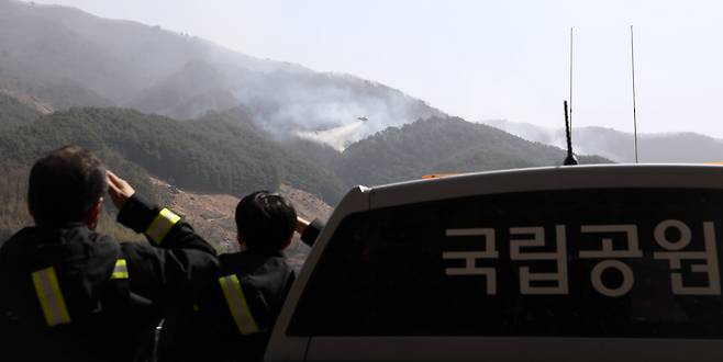 지난 25일 지리산국립공원공단 관계자들이 다가오는 불길을 지켜보고 있다. /뉴스1