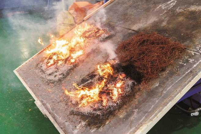 산불지연제 성능 실험 결과, 산불지연제를 뿌려 둔 곳(오른쪽 위)에는 불이 붙지 않았다. 과학동아 제공
