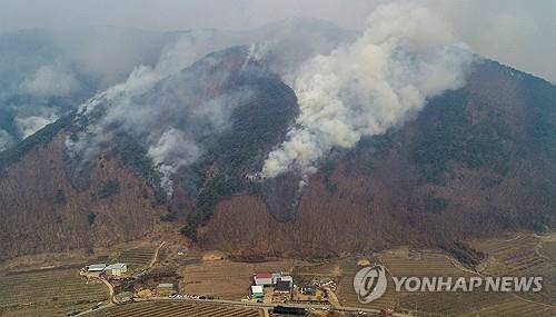 25일 오전 경북 안동 길안면 백자리 일대 야산에서 연기가 피어오르고 있다.<연합뉴스>