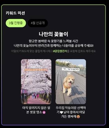 네이버 '클립 특파원 챌린지' (제공: 하이퍼커넥트)