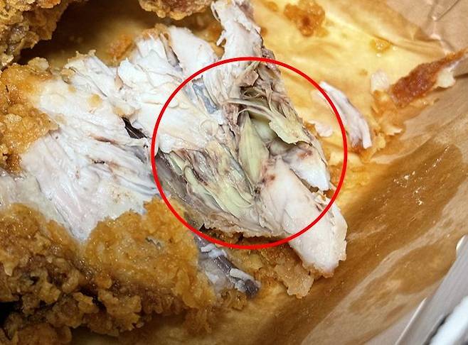 닭 가슴 부위 근육에 산소가 일시적으로 공급되지 않으면 근육 부위가 녹색으로 변하는 녹근병이 발생할 수 있다. 사진=헬스조선(독자 제공)