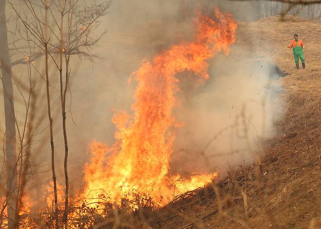 26일 경북 영양군 입암면 방전리 야산에서 입암면 의용소방대원이 산불 진화 작업을 벌이고 있다. 연합뉴스