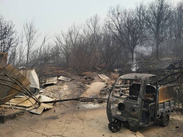 불에 탄 화물차의 모습. 이일화 세무전문기자