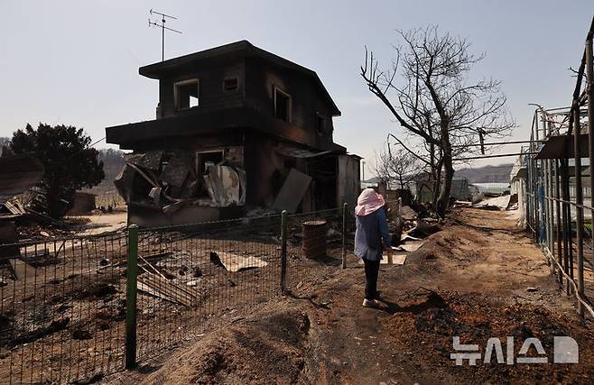 [의성=뉴시스] 김금보 기자 = 26일 산불 피해를 입은 경북 의성군 점곡면 한 민가에서 주민이 폐허로 변한 집을 살펴보고 있다. 2025.03.26. kgb@newsis.com