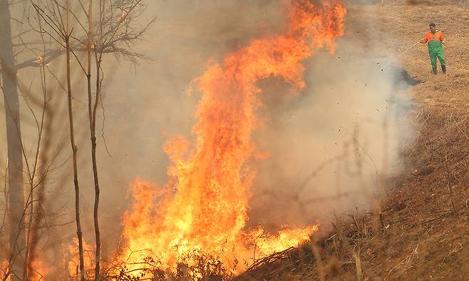 26일&nbsp;경북 영양군 입암면 방전리 야산에서 입암면 의용소방대원이 산불 진화 작업을 하고 있다. 연합뉴스