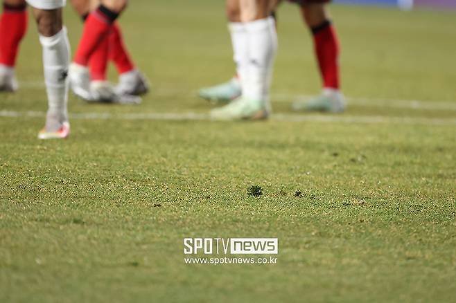 ▲ 수원월드컵경기장 잔디 ⓒ곽혜미 기자