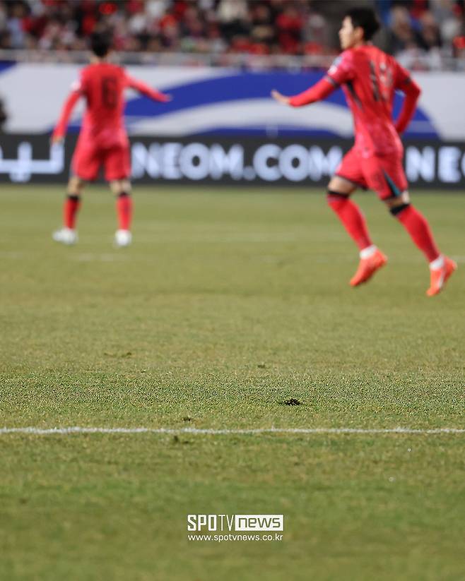 ▲ 잔디 ⓒ곽혜미 기자